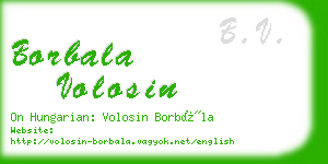 borbala volosin business card